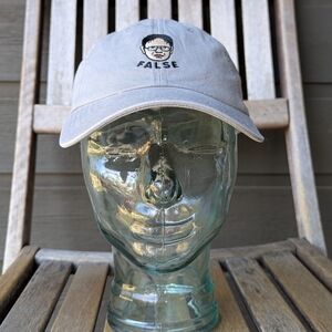 NWOT The Office Dwight Schrute FALSE Dad Hat Unisex Embroidered Gray 100% Cotton